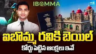 ఐబొమ్మ రవికి బెయిల్ | iBomma Ravi Gets Bail | Immadi Ravi Bail News | Sakshi TV