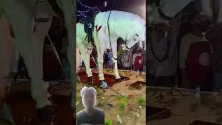 murram status video naat Sharif new naat Sharif 2025 #naat #shorts
