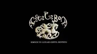 Cate Le Bon - Mas Mas