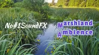 Marshland Ambience - Sound Effects - For Youtube Videos - No#1SoundFX