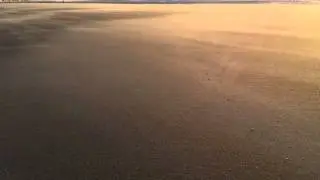 Sand moving over the beach on a sunny windy day in Oostende
