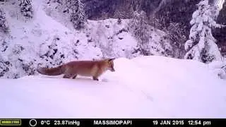 Contrasto di colori