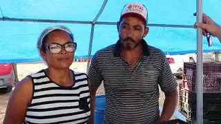 Pequenos produtores garantem renda com o beneficiamento da mandioca