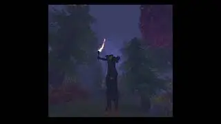 Old Galloper Meets New Galloper (star stable glitch)