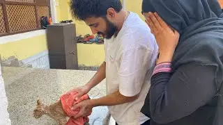 Gingers first bath | Mere Abbu kahan ke the | Sayeda Hubza Ali | V52