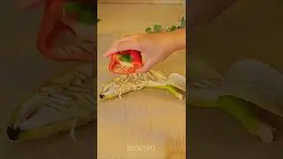 #LifeHacks- #LifeTips- #ProductivityHacks- #TipsAndTricks- #DIYHacks- #SmartLifeHacks-