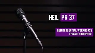 Heil Sound PR 37 Dynamic Microphone for Live Sound and Vocal Recording