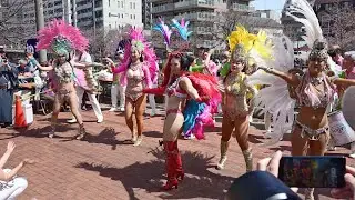 横浜のサンバチーム　サウーヂによるサンバパフォーマンス です。（於 横浜市黄金町）_4K