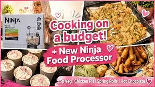 Cooking on a Budget + New Ninja Food Processor! | 5p Veg, Chicken Pie, Spring Rolls & Hot Chocolate