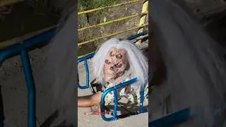 El regreso de la abuela #viral #humor