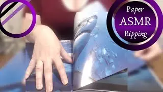 Will these ASMR Page Ripping Sounds Help You Sleep? No Talking.