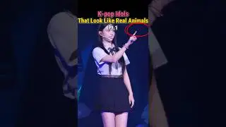 K-pop Idols That Look Like Real Animals Pt.1