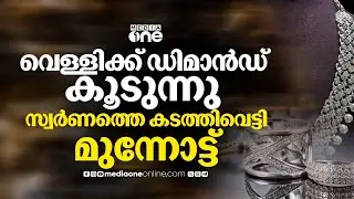 വെള്ളി വില കൂടുന്നു, സ്വർണത്തെ കടത്തിവെട്ടി മുന്നോട്ട്; ആശങ്കപ്പെടേണ്ടതുണ്ടോ? | Silver Rate