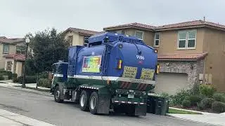 Recycle Pickup 9186 (Honks at me) 01/03/26