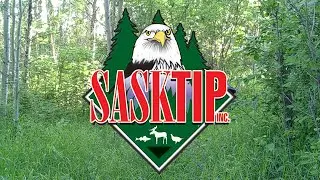 SaskTIP Crime of the Month - February 2021