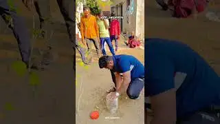 Big Size Indian Spectacal Cobra Rescue & Release🐍❤️ #snake #rescue #cobra #video #trending #snakes