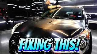 Restoring & ceramic coating a 2014 Hyundai Veloster | Serving Killeen, Copperas Cove, Harker Heights