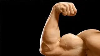 how to get big biceps for advanced lifters