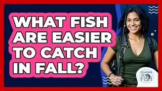 What Fish Are Easier To Catch In Fall?