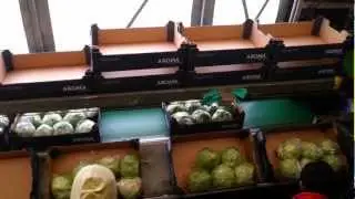 Vd beucken oogstmachine