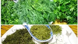 طريقه تجفيف اوراق البقدونس والشبت والكسبرة وحفظها طول السنه
