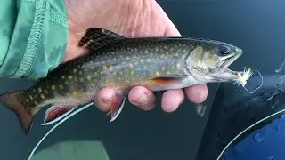 Fishing a high Mountain reservoir for native Brooke trout￼, (Plus BONUS MOUNTAIN CREEK FISHING?!!!)