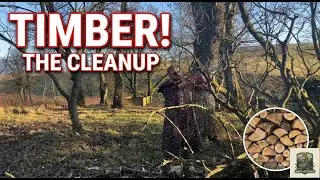 We Felled a Giant - Now The Real Work Begins... | Homesteading | Ep 11