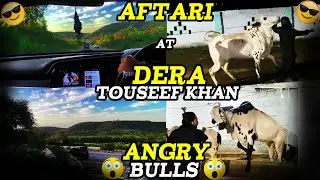 Aftari at Dera Touseef Khan | Fateh Jang | Bulls for Eid 2024 | Eid Bulls Rally |