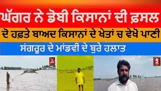 farmers worried about flood water | sangrur village mandvi  farmers crops destroyed| ghaggar River|