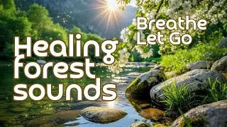 Live. Restore Your Energy. Calm Music and Forest Sounds/ Восстанови свою энергию &mdash; музыка леса.