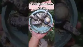 From Mud to Magic &ndash; FreakyCo Pottery Glow-Up ✨