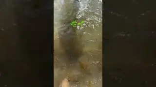 POV: Du bist ein Ostseekind
