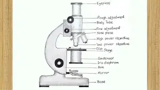 Easy Microscope Drawing | How to Draw Simple Microscope Diagram | How to Draw Compound Microscope