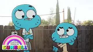 Very Important Day | The Amazing World of Gumball | Cartoon Network