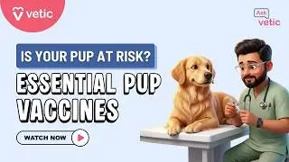 Puppy vaccine mistakes you must never make | Vet explains puppy vaccination schedule