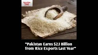 Pakistan Earns $2.1 Billion from Rice Exports Last Year #newsupdate #news #foryou #pakistan #beaware