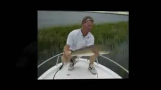 Captain Tom Harper : Charleston Boating Services