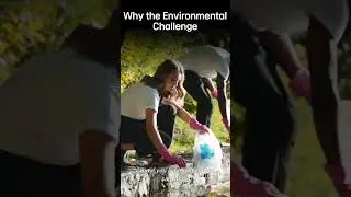 Why the Environmental Challenge