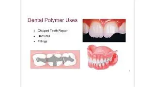 Dental Polymer Lab Pre-Lab