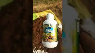 jevik kheti ( G-Sea Liquid) ka prayog