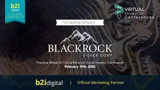 Precious Metals & Critical Minerals Virtual Investor Conference  &mdash; Blackrock Silver Corp.