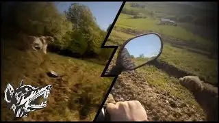 M au fugarit cainii de la stana🐕😟