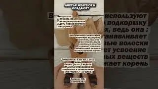 ЛИСТЬЯ ЖЕЛТЕЮТ И ОПАДАЮТ? Артикул на вб: 320485363