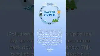 The Water Cycle | Culligan Water of Greater Kansas City