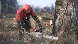 U poseti najvecem proizvodjaču buradi i bačvi Seguin Moreau (Francuska)