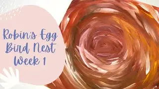 Robin&rsquo;s Egg Bird Nest (Week 1)