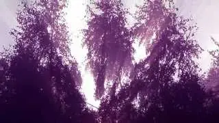 The Healing Light