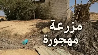 مزارع السعودية | مهجورة من زمان طويل بس ليه تركوها؟ 🏚️❓