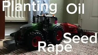 Planting oil seed rape 