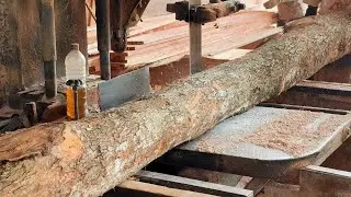 The magic of woodworking The Final Touch - Master the Art of Sawing!